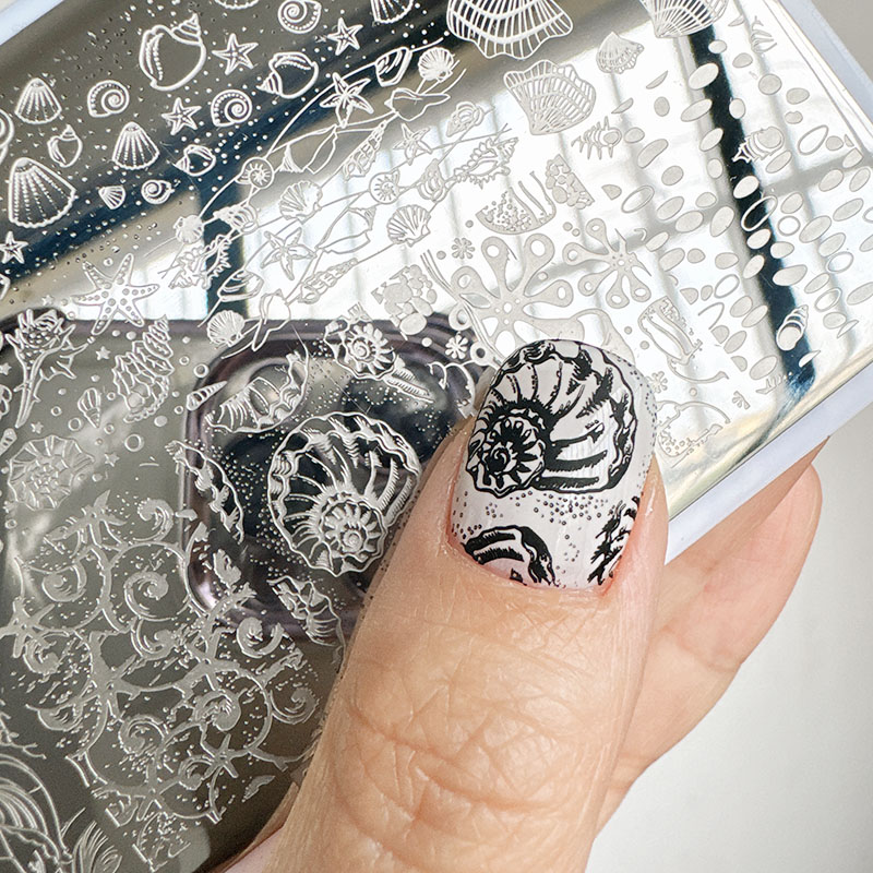 Nail Art Stamping Kit - XMQ Nail ART STAMPING PLATAS OCEANES