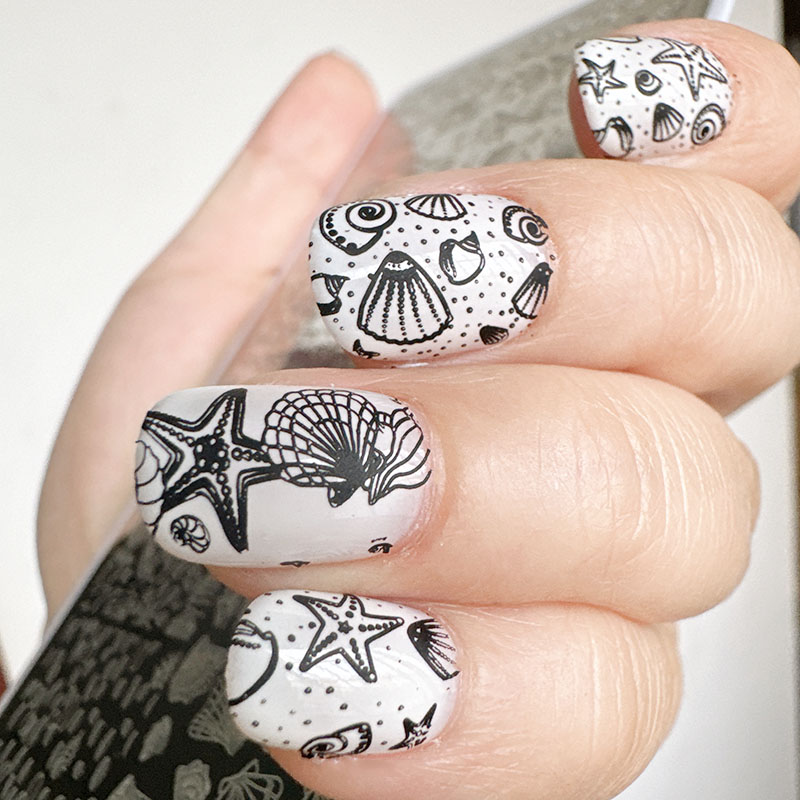 XMQ Nail ART STAMPING PLATAS O - Nail Art Stamping Kit avaliação e preço